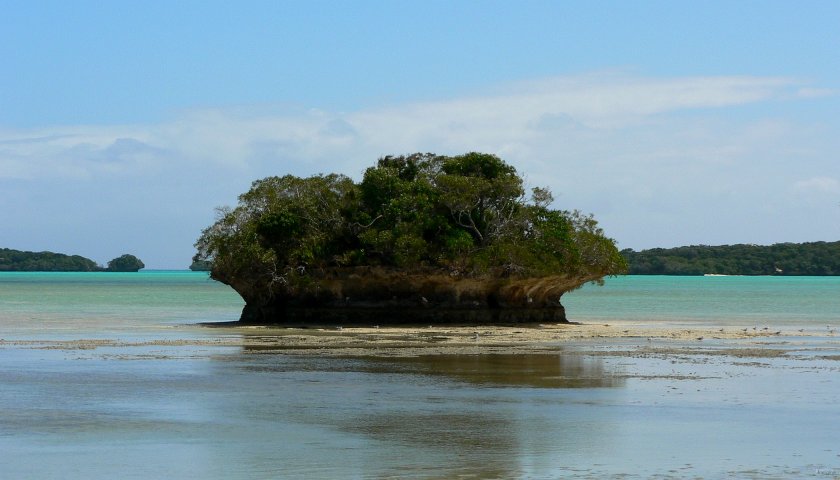 73- Un recif dans la baie de Gadji 